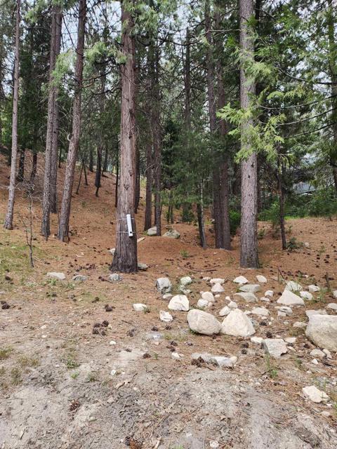 Detail Gallery Image 14 of 14 For 27614 Meadow Bay Dr, Lake Arrowhead,  CA 92352 - – Beds | – Baths