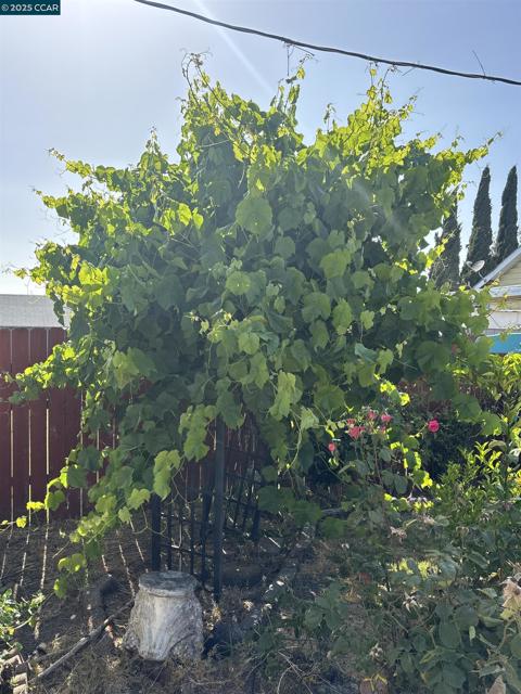 2765 Tuolumne Street, Vallejo CA: https://media.crmls.org/mediaz/007b89b3-aa0c-429d-a3b1-9d8ef115261b.jpg