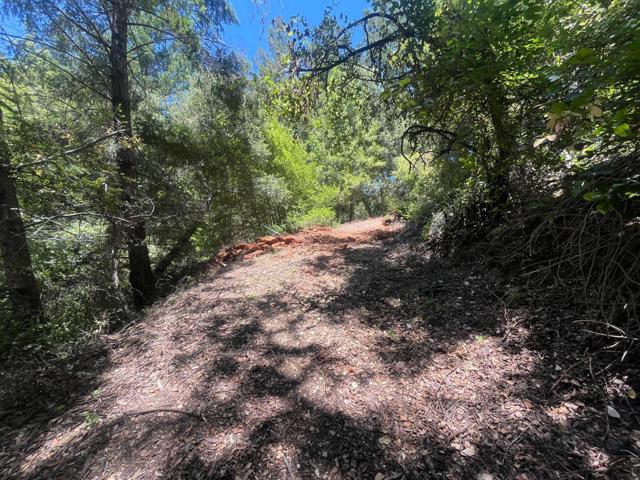0 Deer Creek (Lot 21), Boulder Creek CA: https://media.crmls.org/mediaz/007d9bdc-1a46-4689-93d6-07745c47e7d8.jpg
