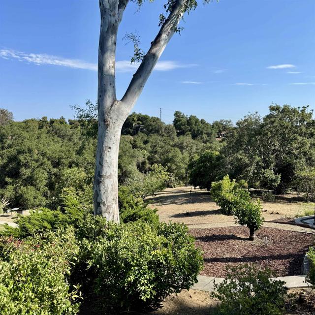 Detail Gallery Image 15 of 75 For 2848 Los Alisos, Fallbrook,  CA 92028 - 5 Beds | 3 Baths