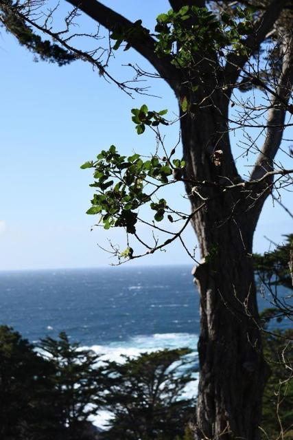 Image 3 of 10 For 0 Spindrift Road
