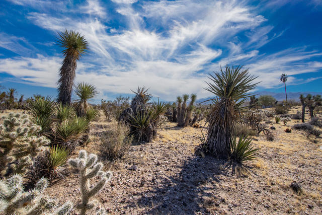 5610 Yucca Mesa Road, Yucca Valley CA: https://media.crmls.org/mediaz/0089093b-2e0c-4c14-81f6-85128f255a02.jpg