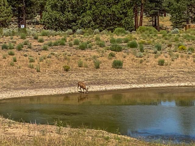 550 Eagle Ridge, Big Bear CA: https://media.crmls.org/mediaz/008a8551-5bcd-476e-a4ab-591f64d4fb17.jpg