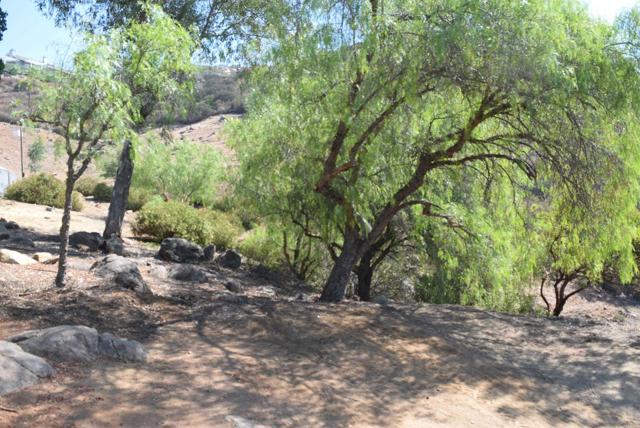 0 Calle Mia, Alpine CA: https://media.crmls.org/mediaz/0093a393-08da-488d-ae2e-9370e862002e.jpg