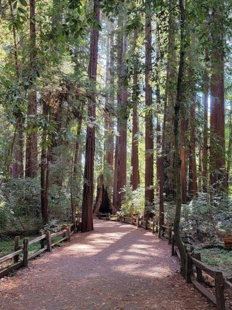 40 S Circle Drive, Santa Cruz CA: https://media.crmls.org/mediaz/00957647-c705-4dd6-8fc3-17cdf2901627.jpg