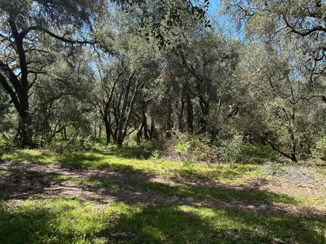 0 Hidden Glen Drive, Scotts Valley CA: https://media.crmls.org/mediaz/009843da-51e5-4bc7-b8b8-78f970c6868b.jpg