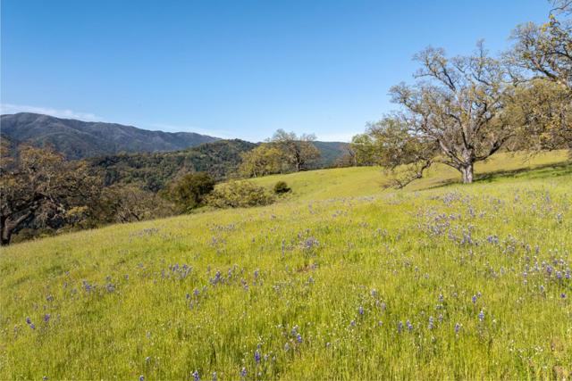 16 Long Ridge Trail (Lot 233), Carmel CA: https://media.crmls.org/mediaz/009e02f3-955a-4651-8688-7cff7fccd8b5.jpg