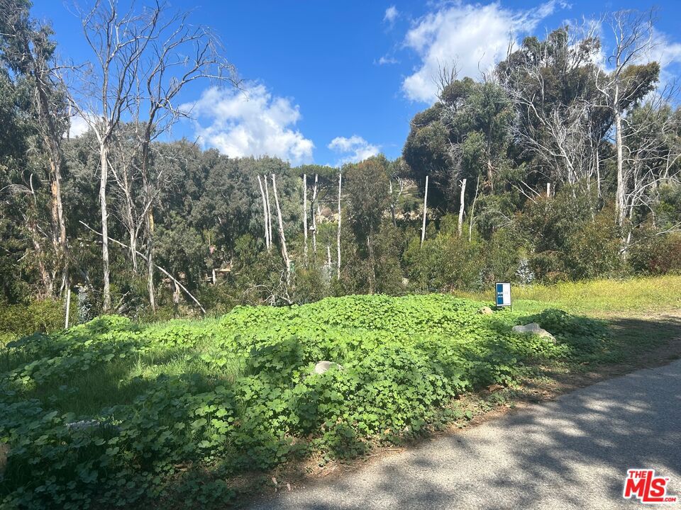 MLS #25515626 img 12