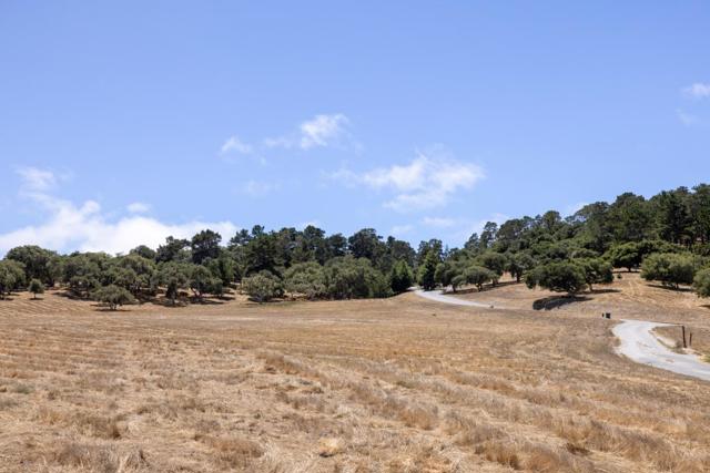 MLS #ML82017974 image #5