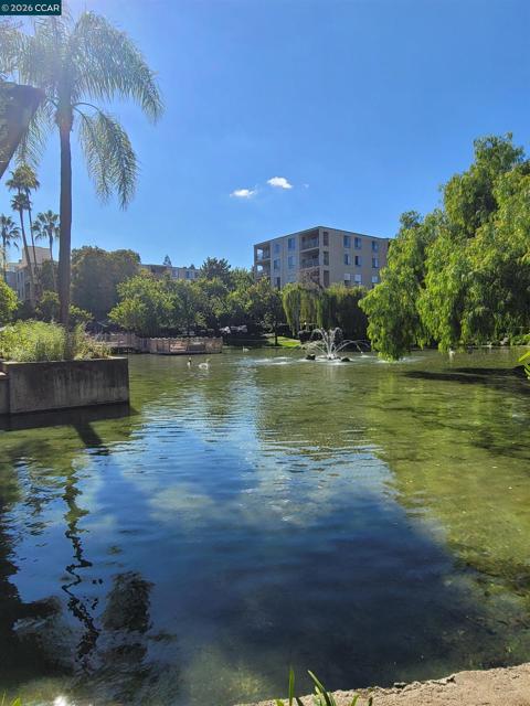 310 N Civic Dr., Walnut Creek CA: https://media.crmls.org/mediaz/00b71412-1ed3-48e0-bdbd-79f017c46dc1.jpg