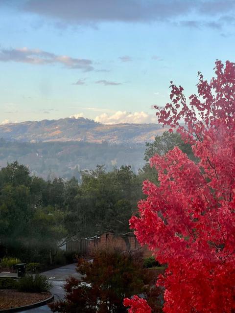 Image 14 of 15 For 3014 Santa Margarita Court