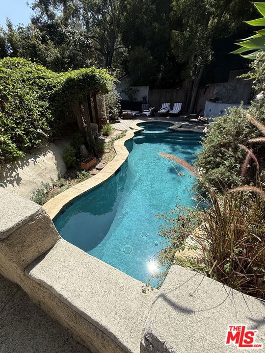 Stunning Free-form Pool