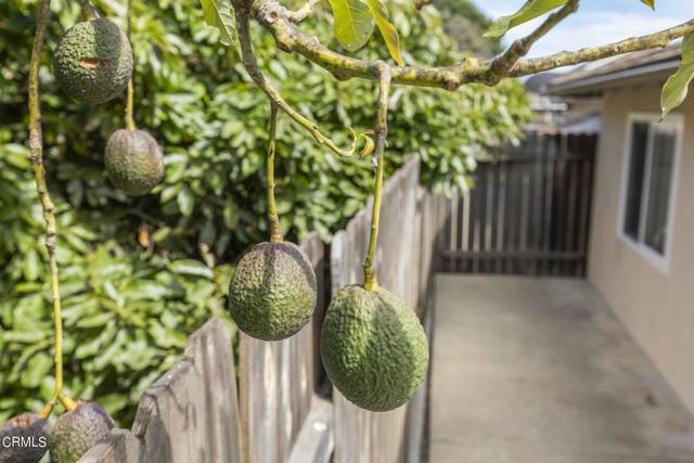 Image 27 of 58 For 9417 Petit Court