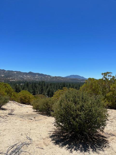 Image 3 of 6 For 0 Pipe Creek Road