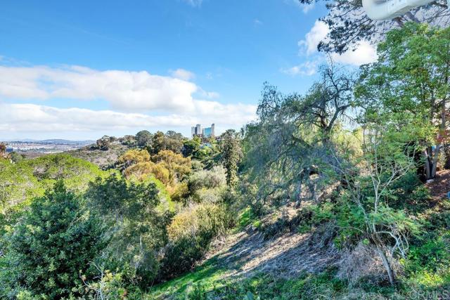 Detail Gallery Image 28 of 59 For 4171 Ibis St, San Diego,  CA 92103 - 4 Beds | 2 Baths