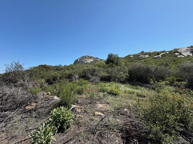 17441 Dos Picos Park Road, Ramona CA: https://media.crmls.org/mediaz/00d9dc47-86d5-4f9f-af3c-be1690d187a5.jpg