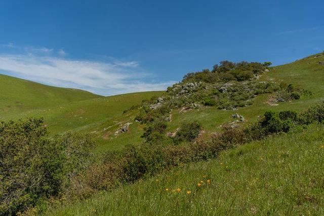 100 Old Stage Rd, San Juan Bautista CA: https://media.crmls.org/mediaz/00db5e3f-3101-4d11-a02d-8bff75c4cb90.jpg