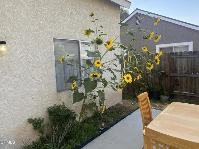 Detail Gallery Image 29 of 32 For 245 D St, Fillmore,  CA 93015 - 3 Beds | 2 Baths