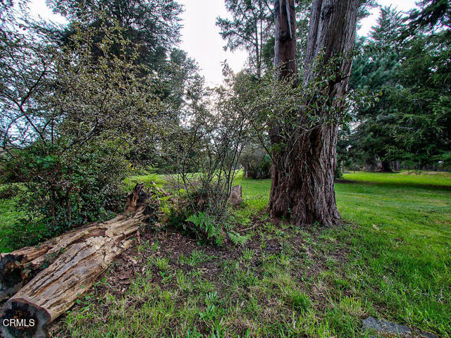 Detail Gallery Image 24 of 26 For 19100 Summers Ln, Fort Bragg,  CA 95437 - – Beds | – Baths