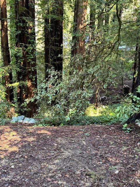 0 Silver Skyway, Woodside CA: https://media.crmls.org/mediaz/00f82aca-4bc1-4db4-bd66-1097b458187d.jpg
