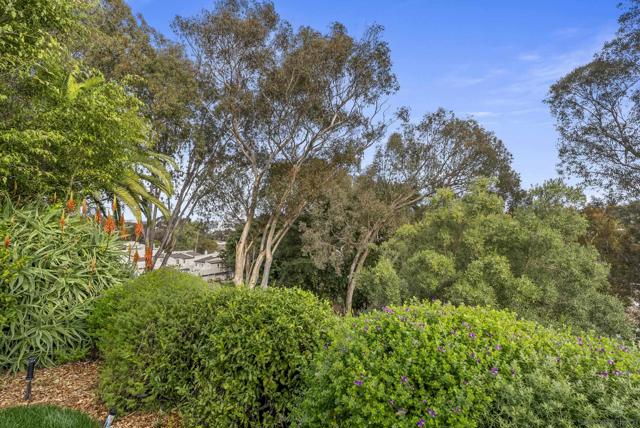 8871 Caminito Primavera, La Jolla CA: https://media.crmls.org/mediaz/00faa43e-d373-41f9-b703-f690848e2e92.jpg