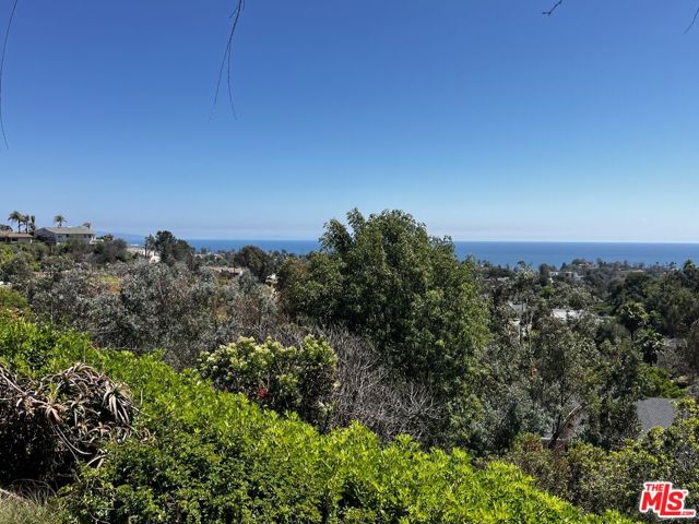 Drew Fenton | 1243 Las Lomas Avenue Pacific Palisades CA | MLS: 7322577