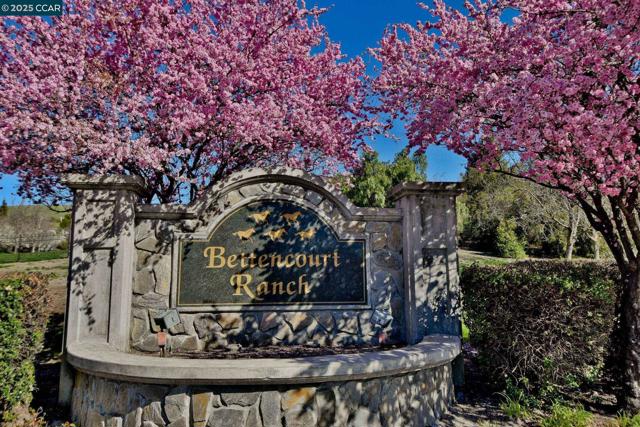 219 Nottingham Pl, Danville CA: https://media.crmls.org/mediaz/0103c03d-524e-426a-a35f-26c28713738a.jpg