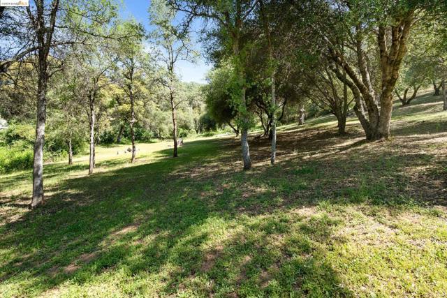 Image 22 of 41 For 2992 Buckboard Rd