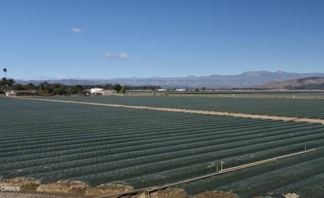 323 + Acs Santa Clara & Central Avenues, Oxnard CA: https://media.crmls.org/mediaz/010ad68d-e95e-4105-bfad-914296d3ce7e.jpg