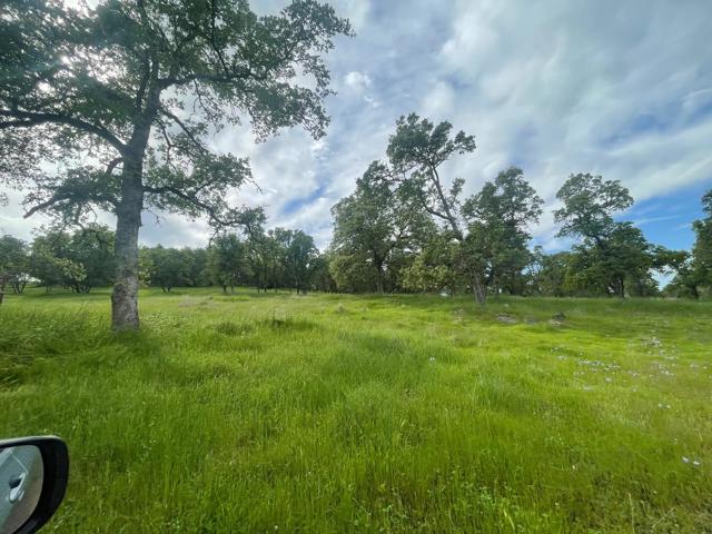 0 Avacado Road, Oroville CA: https://media.crmls.org/mediaz/010e0f7a-6907-460f-ac83-eee735136df3.jpg