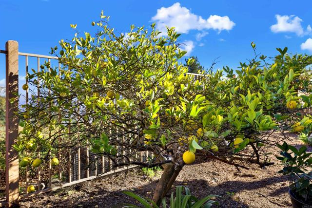 Detail Gallery Image 29 of 47 For 2022 Highland View, Escondido,  CA 92026 - 3 Beds | 2 Baths