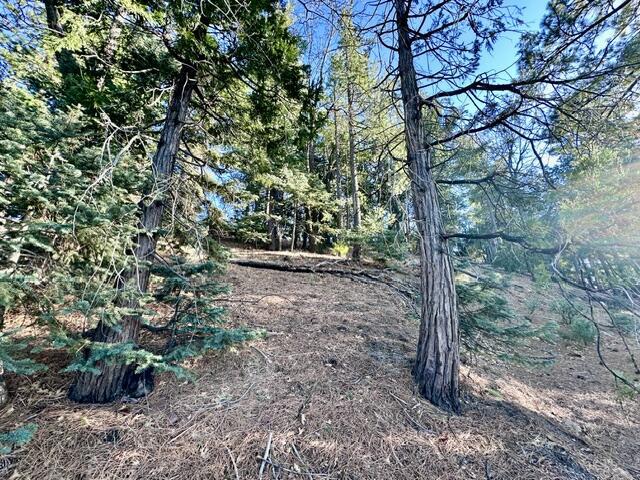 0 Green Craig, Idyllwild CA: https://media.crmls.org/mediaz/01207d19-7345-459b-9cde-69933a8b87ff.jpg