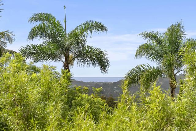 Detail Gallery Image 7 of 19 For 3401 Adams Run, Encinitas,  CA 92024 - 6 Beds | 4/1 Baths