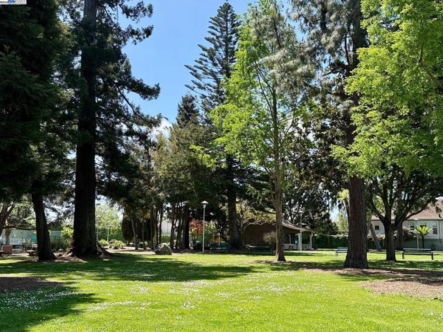 3206 Garfield Ave, Alameda CA: https://media.crmls.org/mediaz/01267a88-f0c3-4bb7-8c55-158a6fa00f90.jpg