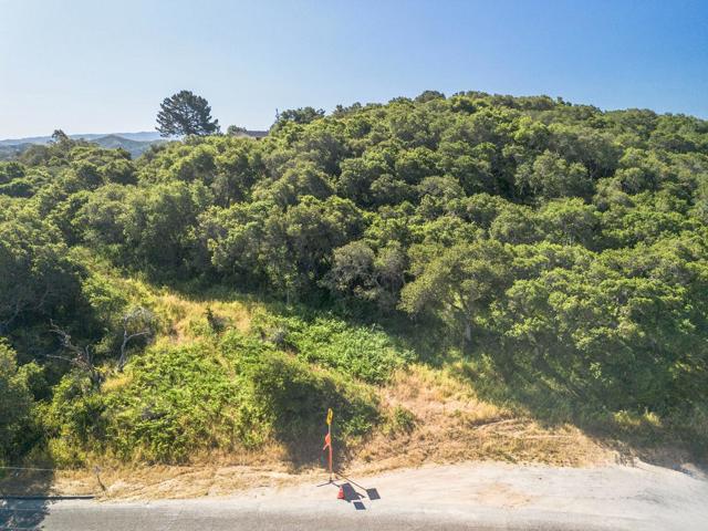 524 Echo Valley Road, Prunedale CA: https://media.crmls.org/mediaz/012a3c19-18a3-4f1c-b41f-67fccd3328ce.jpg