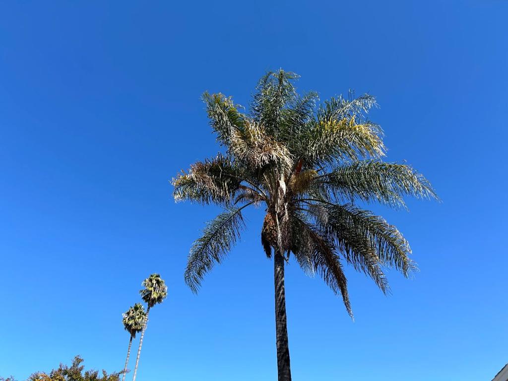 MLS #ML81981021 image #6