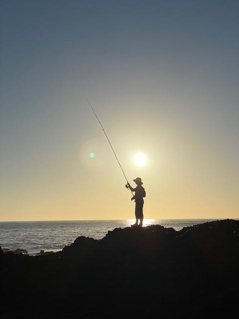10247 Cabrillo Highway, Pescadero CA: https://media.crmls.org/mediaz/0131eba6-322a-4681-a9aa-5642d65dc608.jpg