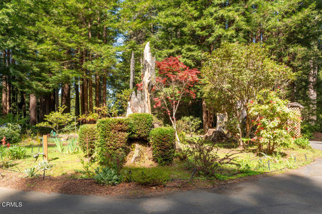Detail Gallery Image 26 of 44 For 12141 Pinewood Rd, Mendocino,  CA 95460 - 3 Beds | 2 Baths