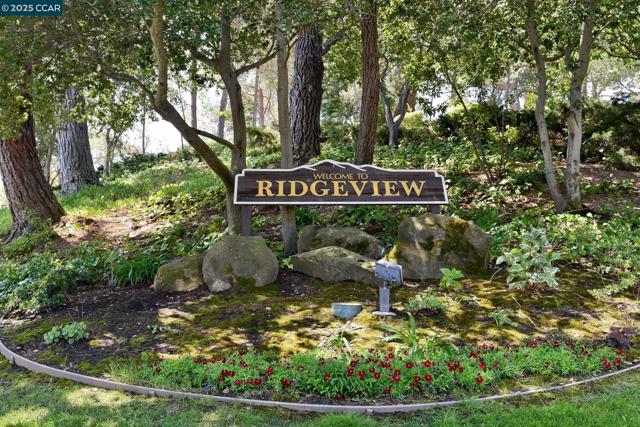 433 Ridgeview Dr, Pleasant Hill CA: https://media.crmls.org/mediaz/0137985a-c26d-4ce3-88ff-63846e9d2811.jpg