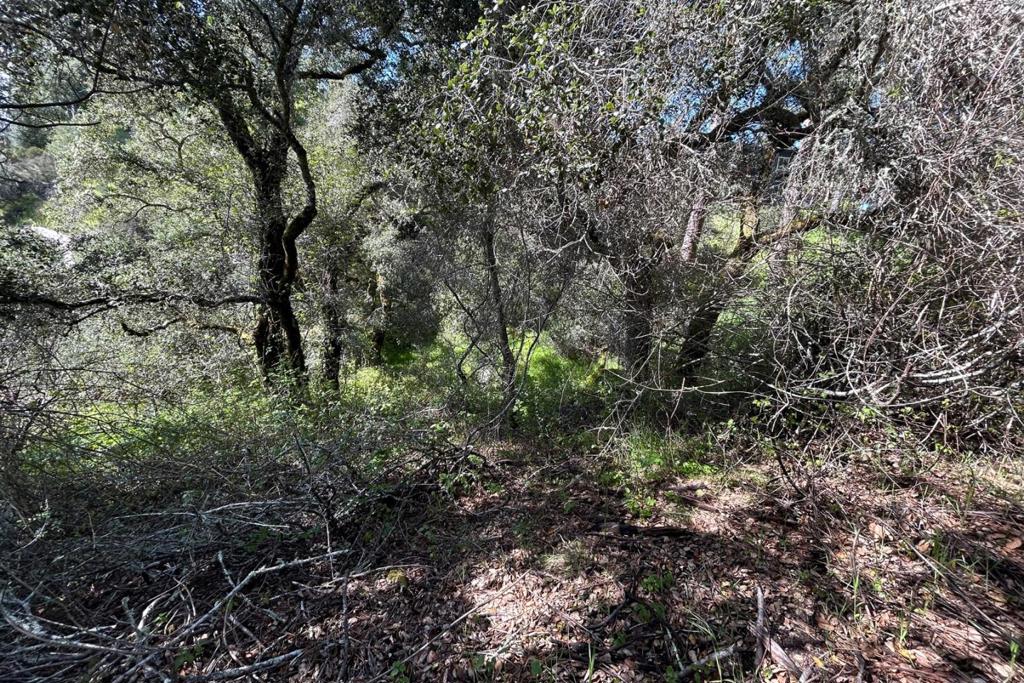 MLS #ML81999376 image #5