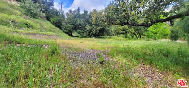 11402 Eby Canyon Road photo 6