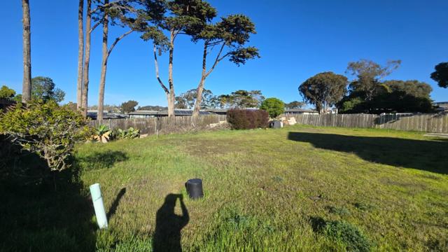 221 Mortimers (Unit B) Lane, Marina CA: https://media.crmls.org/mediaz/01471272-5eb3-4a7a-935a-ecc453f2b62c.jpg