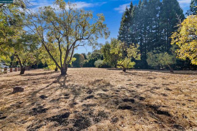 109 Castle Hill Ranch Rd, Walnut Creek CA: https://media.crmls.org/mediaz/01475c76-d52a-484c-bb68-1727bf60361c.jpg