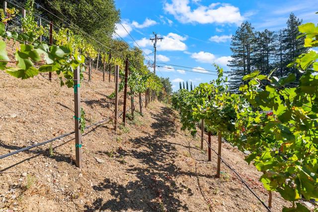 14966 Sobey Road, Saratoga CA: https://media.crmls.org/mediaz/0149996c-11fe-41bf-a343-c413407fe2b5.jpg