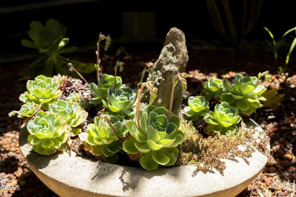 https://media.crmls.org/mediaz/0150c729-8ab1-453a-8032-5e8e4259eab9.jpg?preset=X-Large