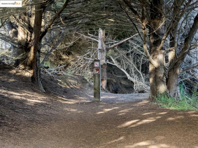 1400 Audubon AVE, Montara CA: https://media.crmls.org/mediaz/0154453c-46cf-4f64-a7ed-2a66020fd044.jpg