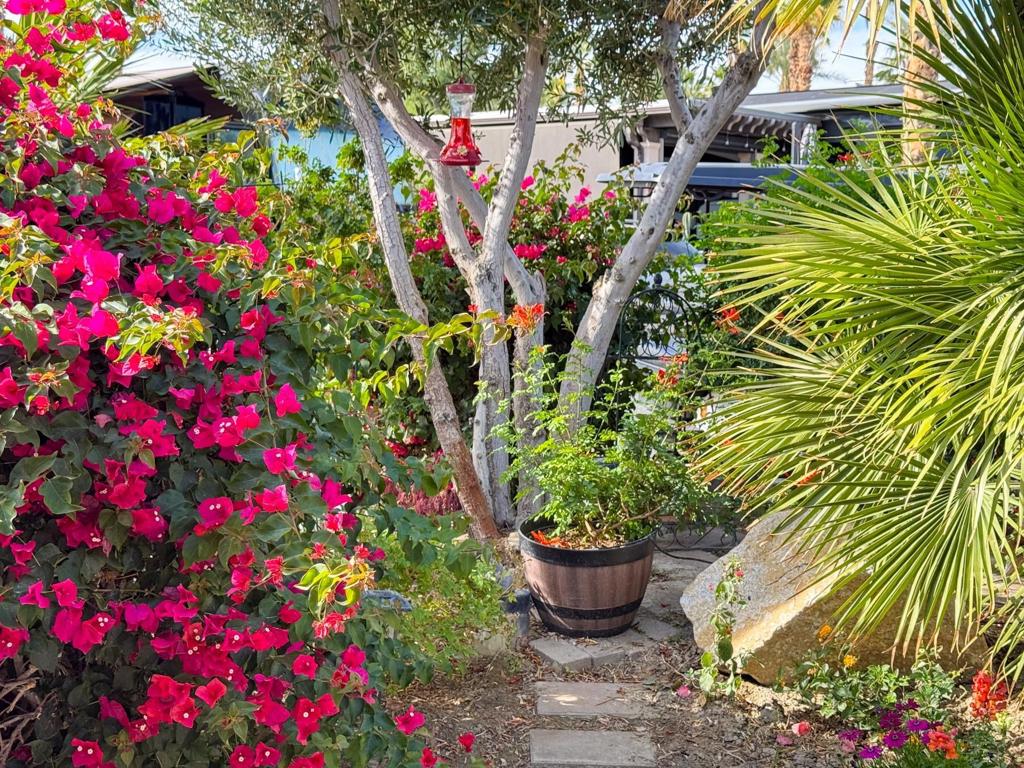 MLS #219125316DA image #33