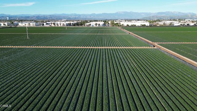 Detail Gallery Image 9 of 10 For 2151 E Wooley Rd, Oxnard,  CA 93030 - – Beds | – Baths