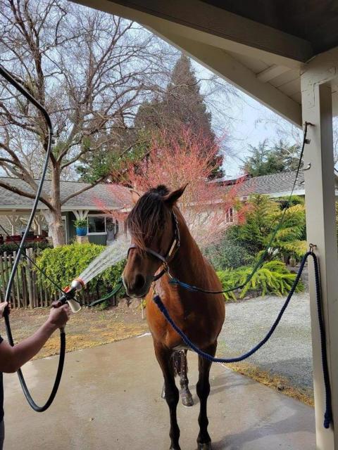 12170 Calle Uvas, Gilroy CA: https://media.crmls.org/mediaz/016125ff-8879-47df-8096-849663f71802.jpg