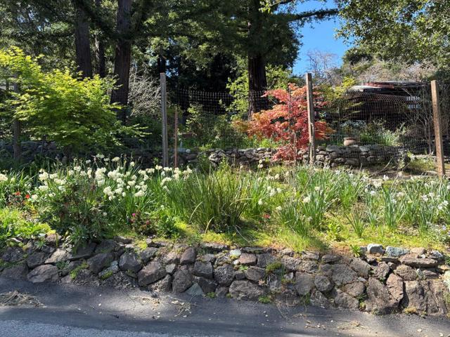 108 Santa Maria Avenue, Portola Valley CA: https://media.crmls.org/mediaz/01666523-9159-4066-8ec2-0480c85012ed.jpg